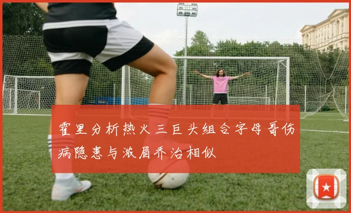 霍里分析热火三巨头组合字母哥伤病隐患与浓眉乔治相似