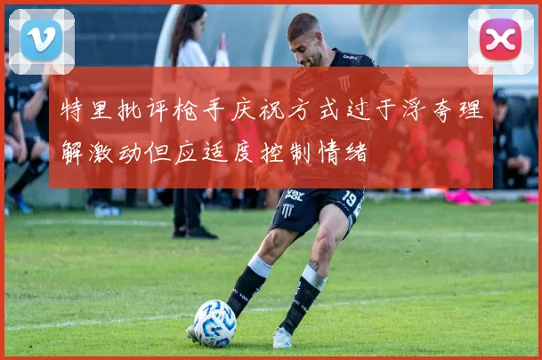 特里批评枪手庆祝方式过于浮夸理解激动但应适度控制情绪