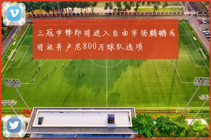 三冠中锋即将进入自由市场鹈鹕或将放弃卢尼800万球队选项