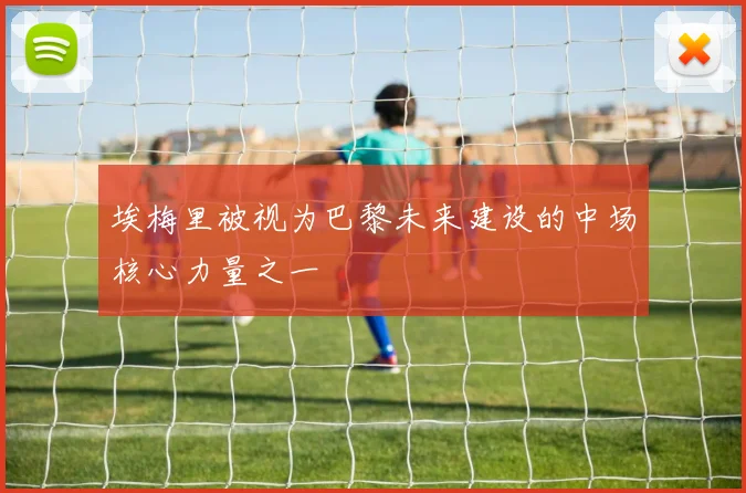 埃梅里被视为巴黎未来建设的中场核心力量之一